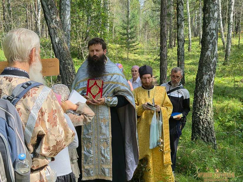 В лесу Тюменской области в 2026 году